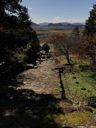 f:id:a-jyanaika:20211128203147j:plain
