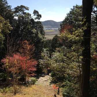 f:id:a-jyanaika:20211128204844j:plain