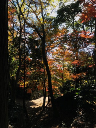 f:id:a-jyanaika:20211128214904j:plain