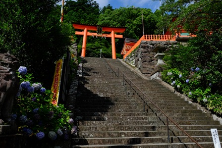 f:id:a-jyanaika:20220123191636j:plain