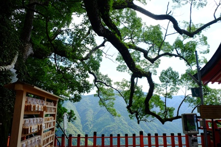 f:id:a-jyanaika:20220123195624j:plain