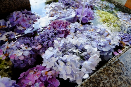 f:id:a-jyanaika:20220123201754j:plain