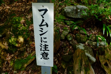 f:id:a-jyanaika:20220123201844j:plain