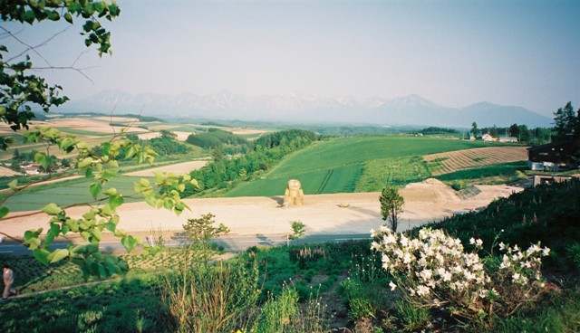 f:id:a-jyanaika:20220129233732j:plain