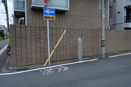 f:id:a-jyanaika:20220131162055j:plain