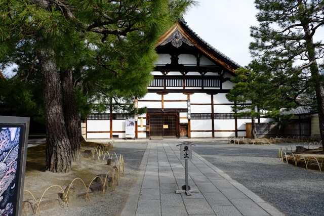 f:id:a-jyanaika:20220219230311j:plain