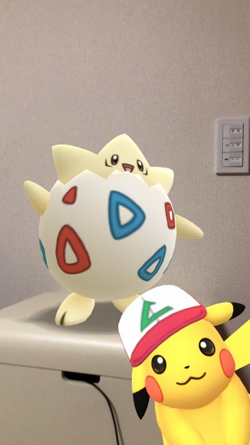f:id:a-karin:20190401225642j:plain f:id:a-karin:20190401225642j:plain