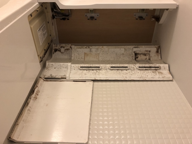 f:id:a-karin:20190501103945j:plain f:id:a-karin:20190501103945j:plain