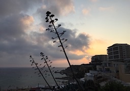 f:id:a-katokgi:20180812065005j:image f:id:a-katokgi:20180812065005j:image