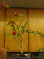 20111116181035