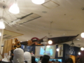 20120927174149