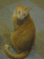 20130205210940