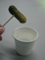 20130206192143