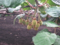 20130612181319