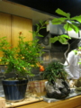 20130614183817