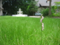 20130706123201
