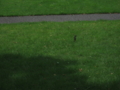 20130706132800