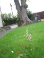 20130706133947