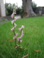 20130706134011
