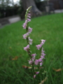 20130706134024