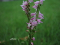 20130706134046