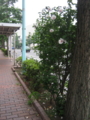 20130713144423