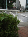20130713144720