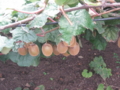20130717155248