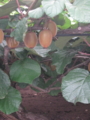 20130717155306