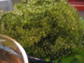 20130726200145