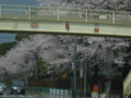 20140406123047
