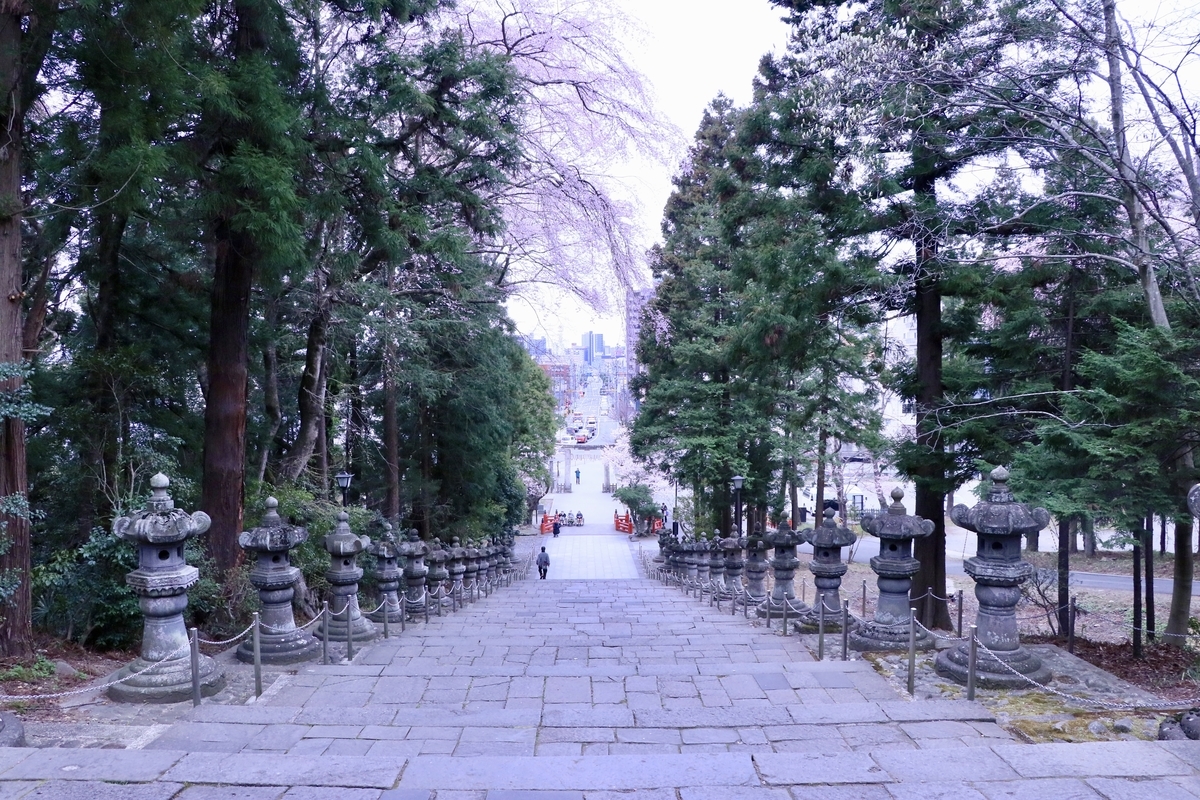 f:id:a-kikutti:20190413224250j:plain