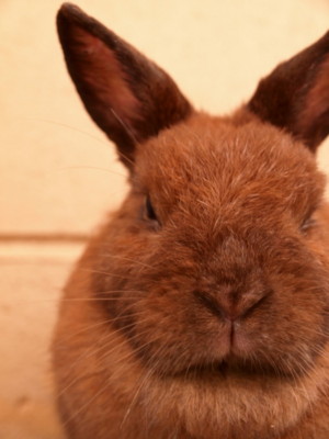 f:id:a-know:20090822131948j:image