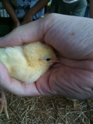 f:id:a-know:20090822134512j:image