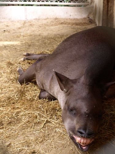 f:id:a-know:20090822143808j:image