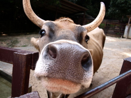 f:id:a-know:20090822143947j:image