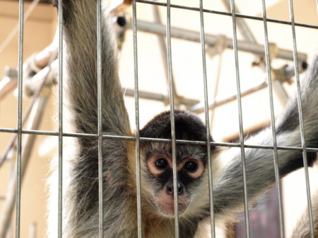 f:id:a-know:20090822151819j:image