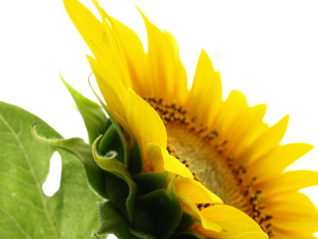 f:id:a-know:20090823142144j:image