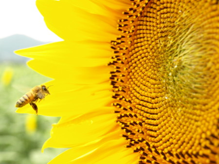 f:id:a-know:20090823142346j:image