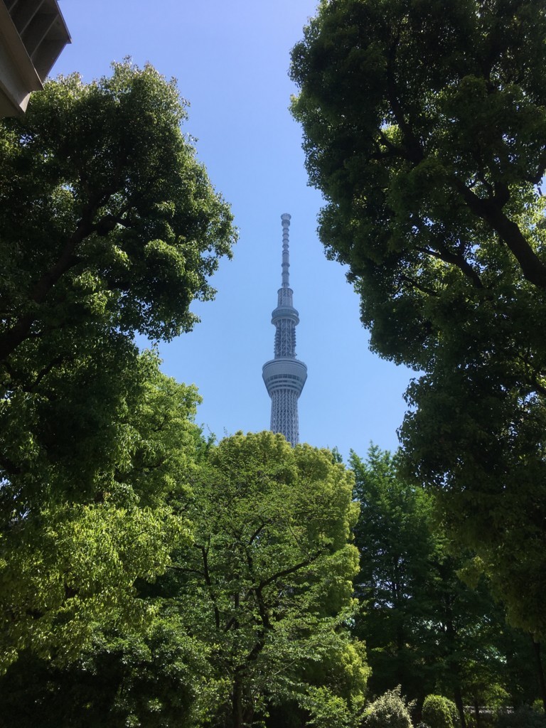 f:id:a-know:20170430112732j:plain