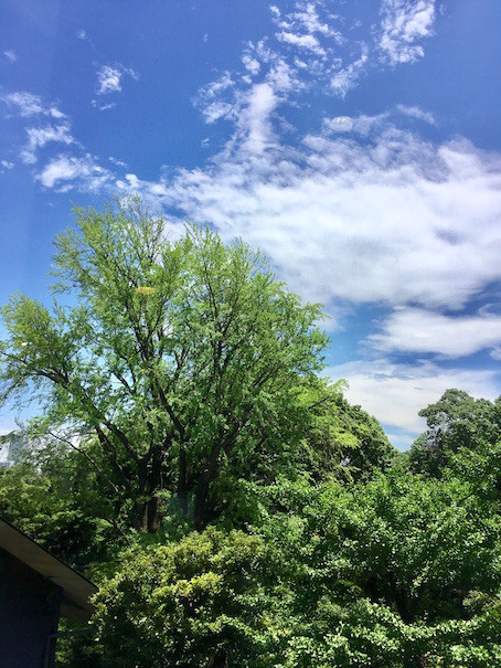 f:id:a-know:20180724230754j:plain f:id:a-know:20180724230754j:plain