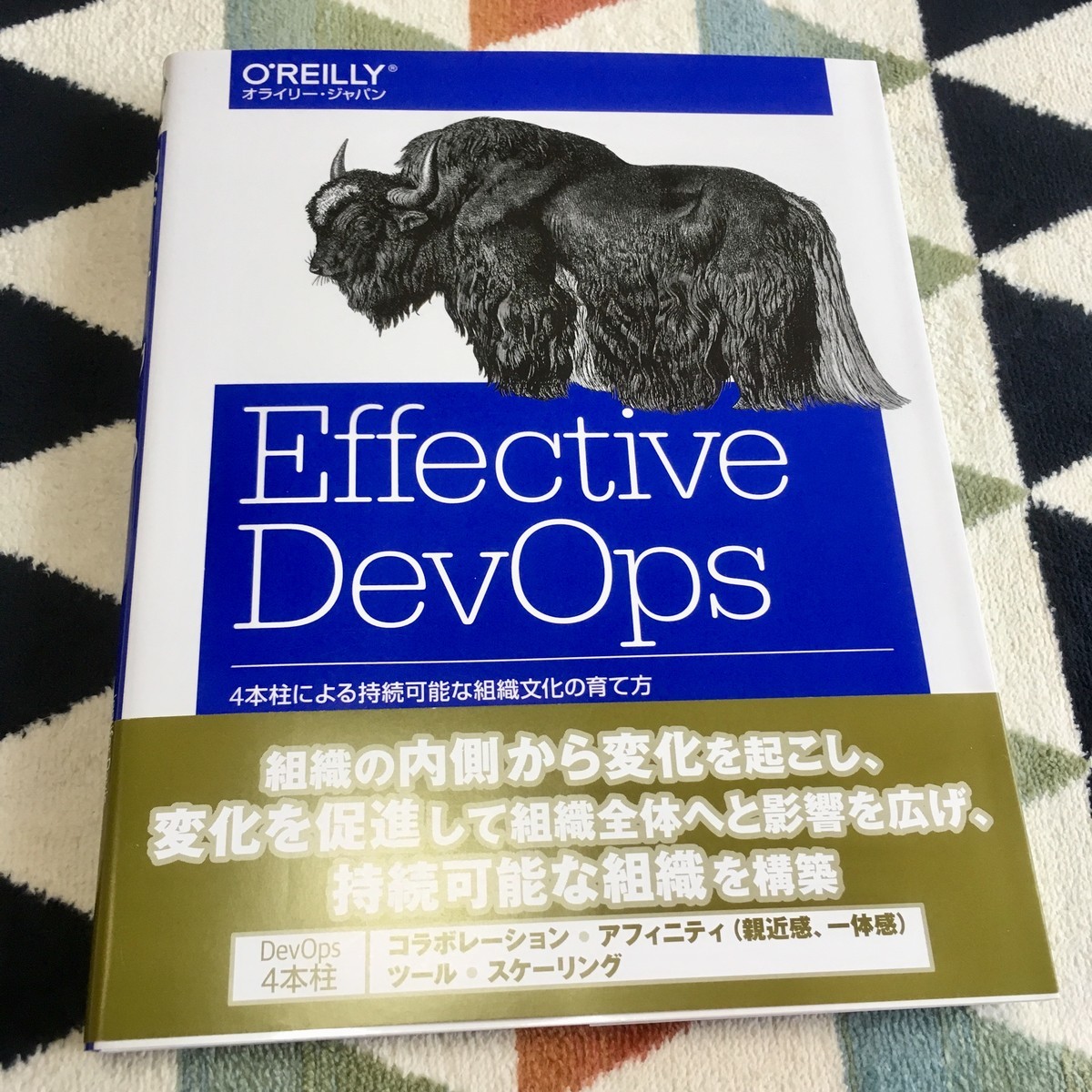 f:id:a-know:20190609104510j:plain f:id:a-know:20190609104510j:plain