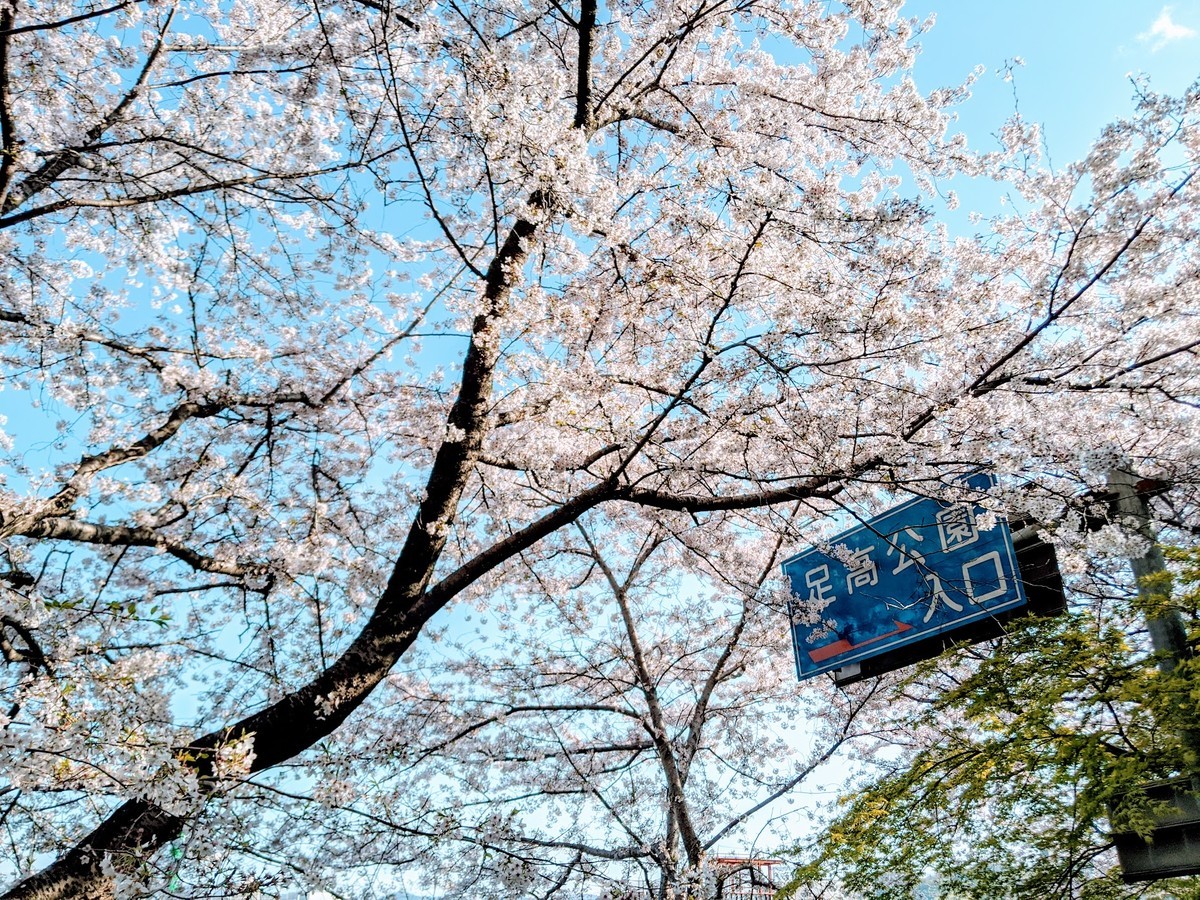 f:id:a-know:20200526223919j:plain f:id:a-know:20200526223919j:plain