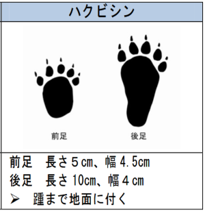 群馬県山中でキャンプをして居たところ 夜寝ている間に動物が来 人力検索はてな