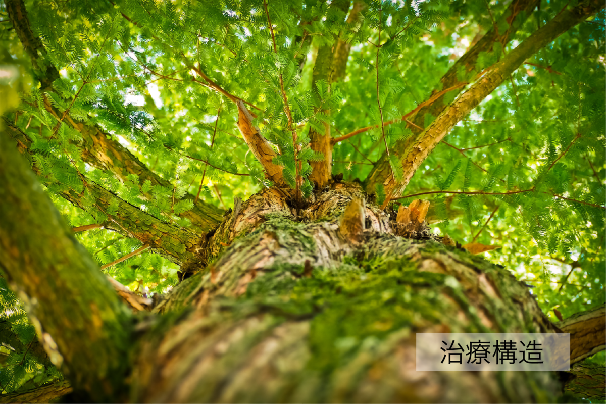 f:id:a-m-zyozo:20200325215941p:plain f:id:a-m-zyozo:20200325215941p:plain