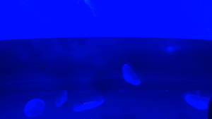 f:id:a-map:20180318152103g:plain f:id:a-map:20180318152103g:plain