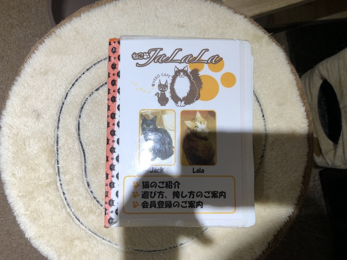 f:id:a-map:20200705163614j:plain f:id:a-map:20200705163614j:plain