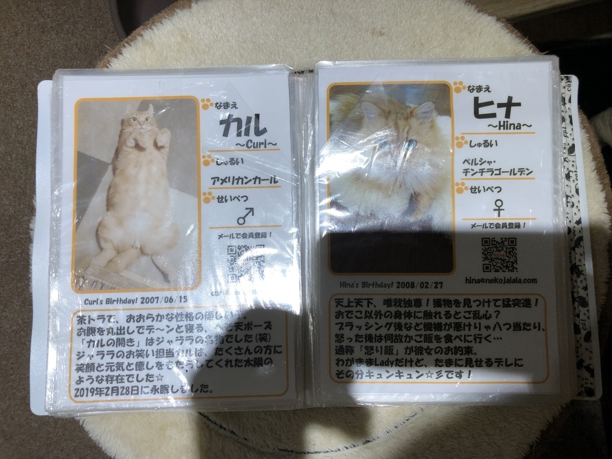 f:id:a-map:20200705163617j:plain f:id:a-map:20200705163617j:plain