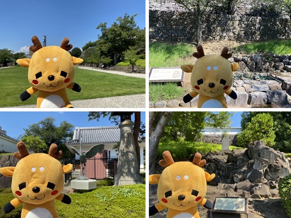 f:id:a-map:20210725144456j:plain