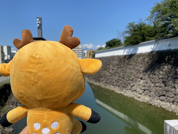 f:id:a-map:20210725144506j:plain